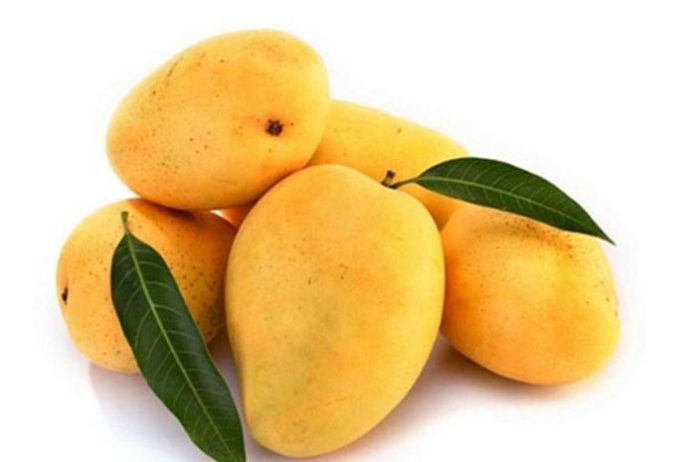 Benefits of eating Mango in the summer
