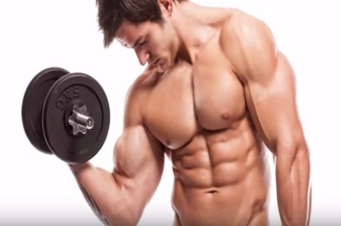 Ways to Increase the Size of Biceps